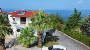 Zea Seaview Villa